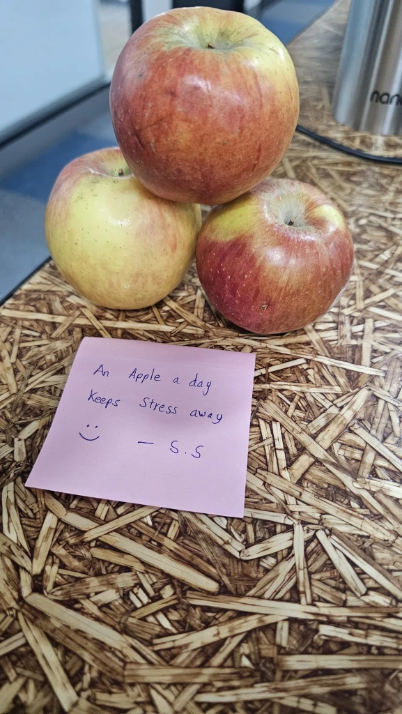 Gift exchange in the Digimaze office